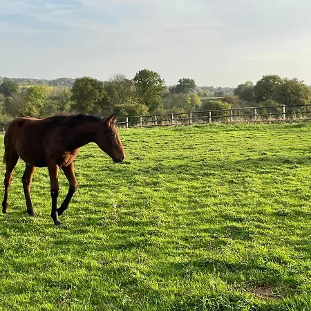 Du Chateau De La Motte Joue-du-Plain