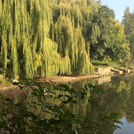 Du Chateau De La Motte *