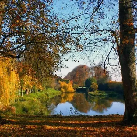 Du Chateau De La Motte Joue-du-Plain