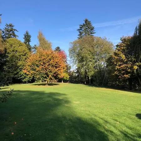 Du Chateau De La Motte *