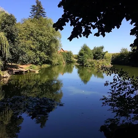 Du Chateau De La Motte