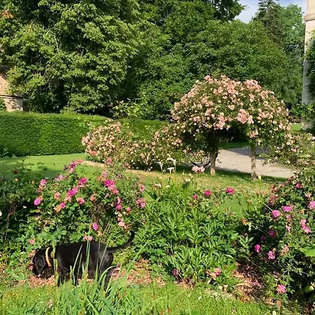 Du Chateau De La Motte Nyaraló