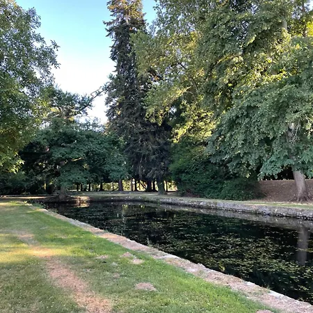 Du Chateau De La Motte *