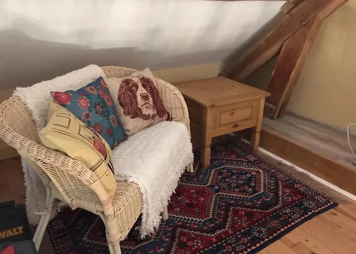 Du Chateau De La Motte