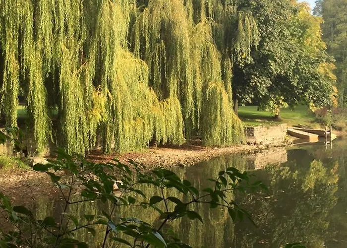 Du Chateau De La Motte *