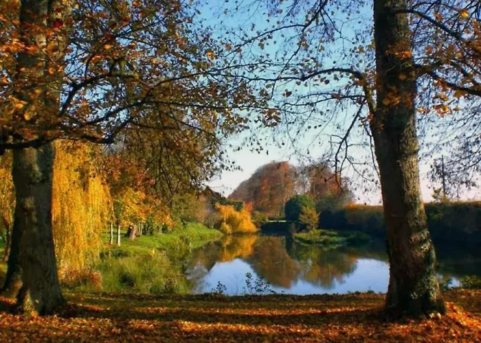 Du Chateau De La Motte Joue-du-Plain