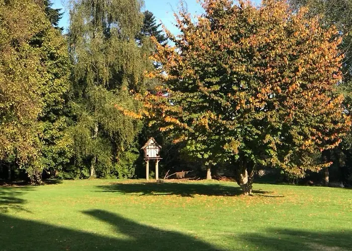 Du Chateau De La Motte Joue-du-Plain