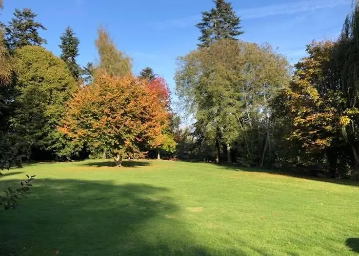 Du Chateau De La Motte *