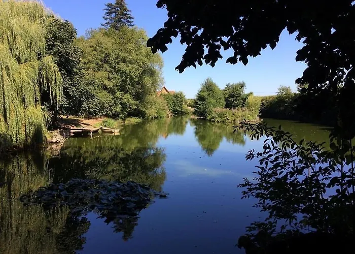 Du Chateau De La Motte