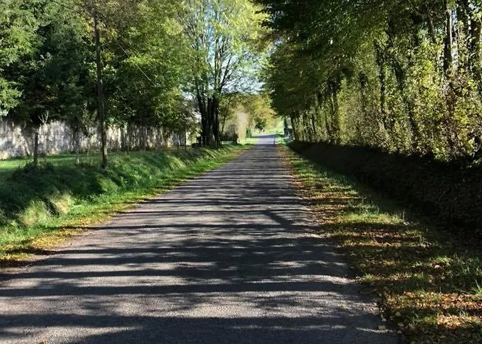 Du Chateau De La Motte